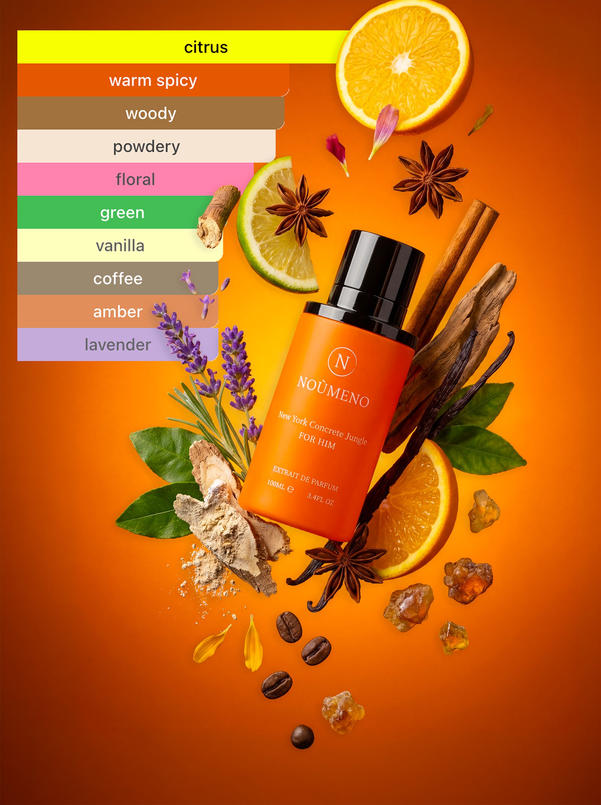 Noùmeno New York Concrete Jungle